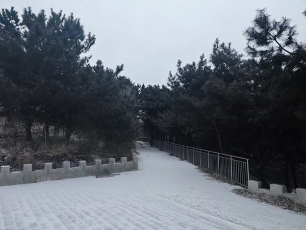 北京初雪来袭!雪天出行安全指南请查收