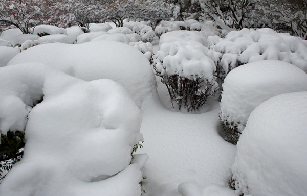 冰冻黄色预警!中国气象局升级调整应急响应为重大气象灾害(寒潮、冰冻、暴雪)三级!